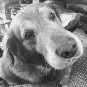 Meet your Posher, Patricia